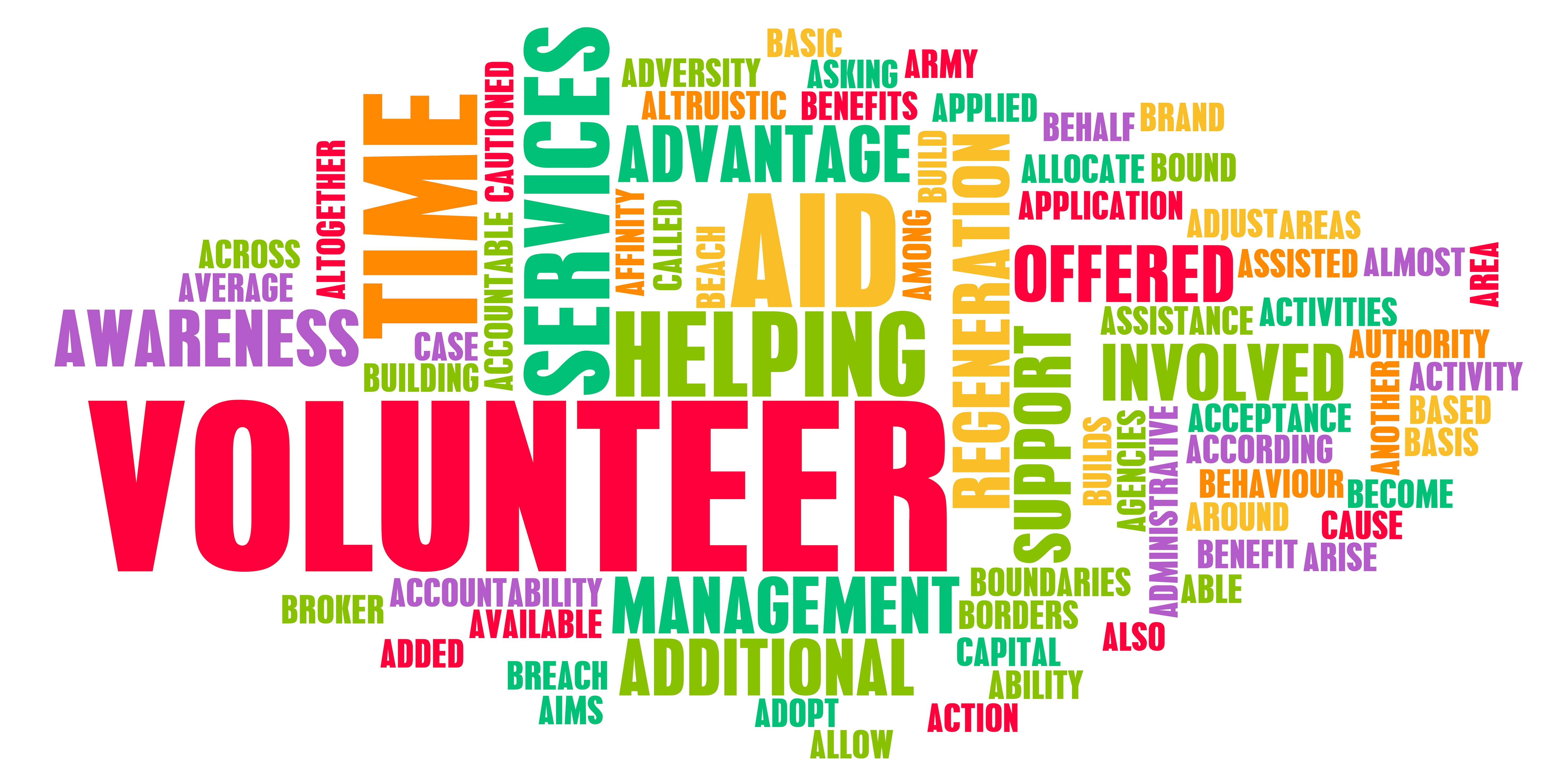 Volunteer Checklist 20 Tasks Free App PDF Printable